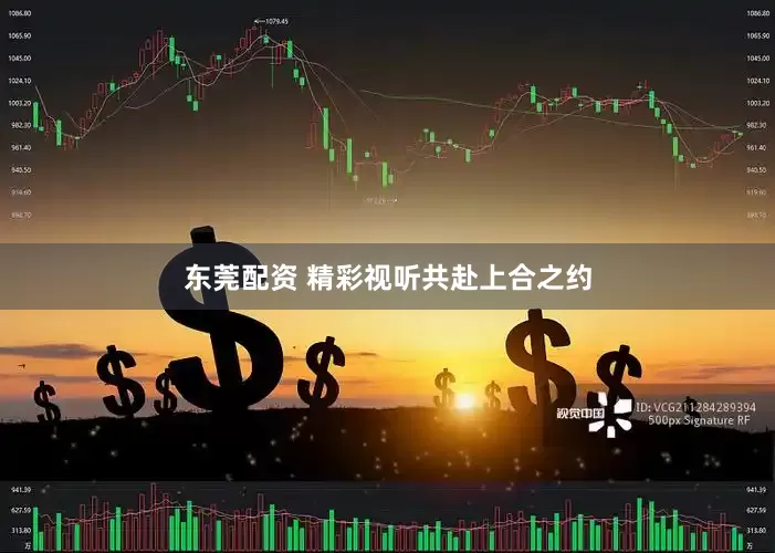 东莞配资 精彩视听共赴上合之约