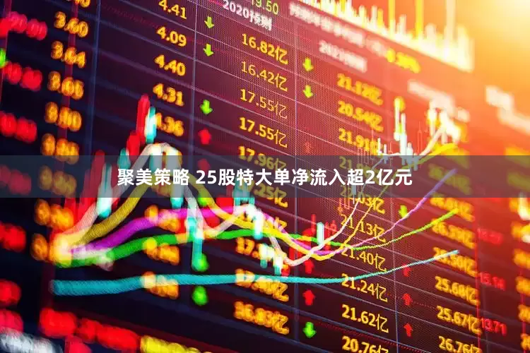 聚美策略 25股特大单净流入超2亿元