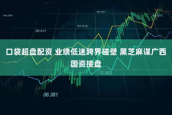 口袋超盘配资 业绩低迷跨界碰壁 黑芝麻谋广西国资接盘
