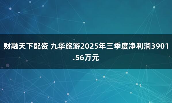 财融天下配资 九华旅游2025年三季度净利润3901.56万元