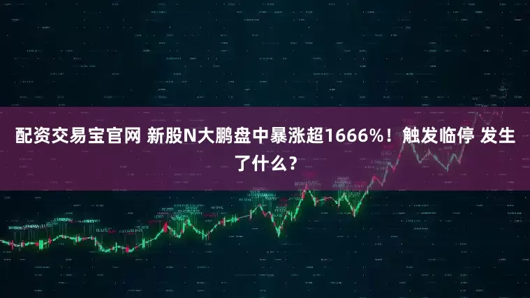 配资交易宝官网 新股N大鹏盘中暴涨超1666%！触发临停 发生了什么？